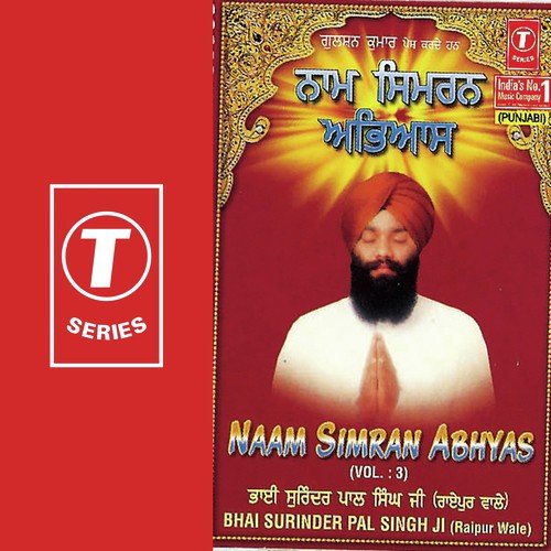 Bhai Surinder Pal Singh-Raipur Wale Songs MP3 Download